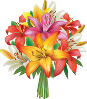 colorful easter lilies 